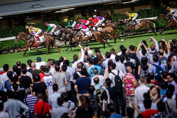 4-hour Small-Group Happy Go Lucky Hong Kong Tour image