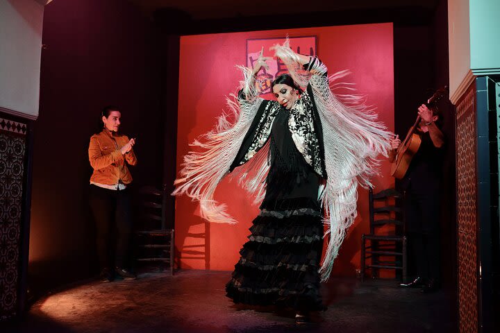 Flamenco show in Seville next to the Cathedral image