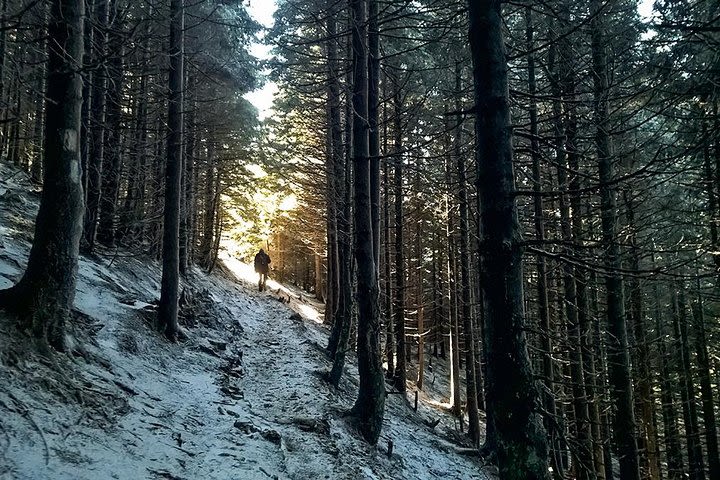 1 day hike to the Piatra Mare massif (1844m) image