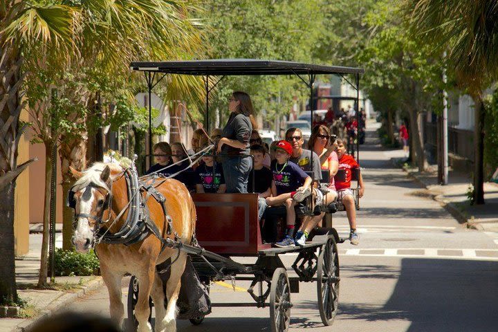 Charleston's Historic Residential Horse and Carriage Tour image
