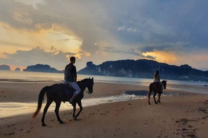 Krabi Sunset Horseback Ride & BBQ Dinner image