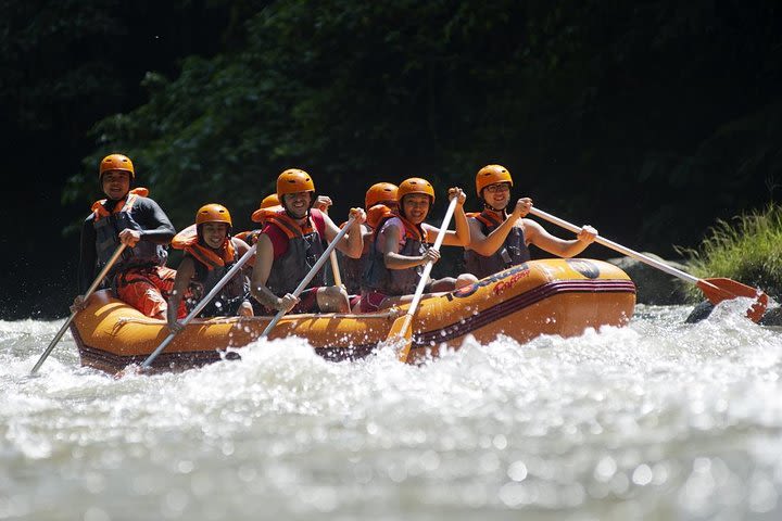 Bali Toekad Ayung River White Water Rafting image