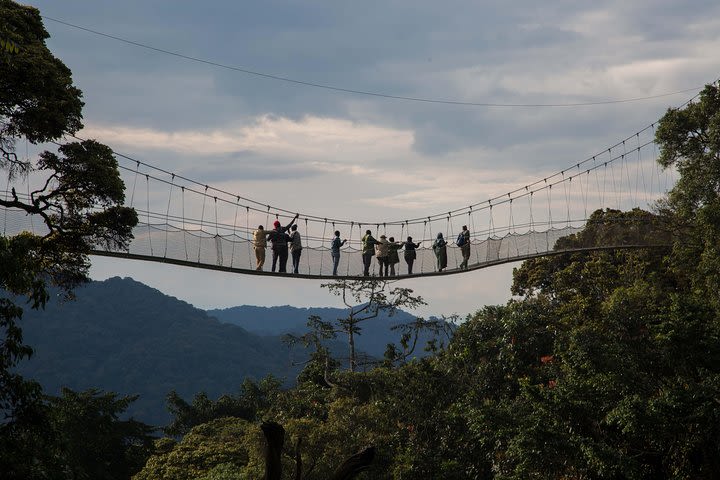 2 days in Nyungwe National Park via Huye Road  image