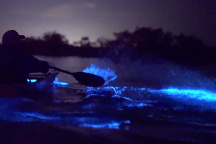 Clear Kayak Florida Bioluminescence Tour | Beacon 42 (Titusville) image