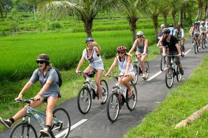 Bali Bike Ride Tour image