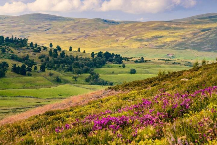 4-Day Scottish Adventure from Manchester image