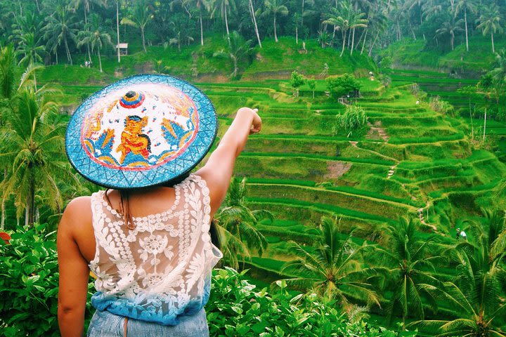  UBUD Private Full-Day Bali Best Tour image