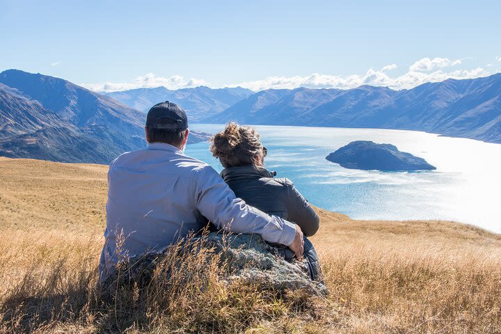 Wanaka Nature Encounter: Lake Cruise and 4WD Safari image