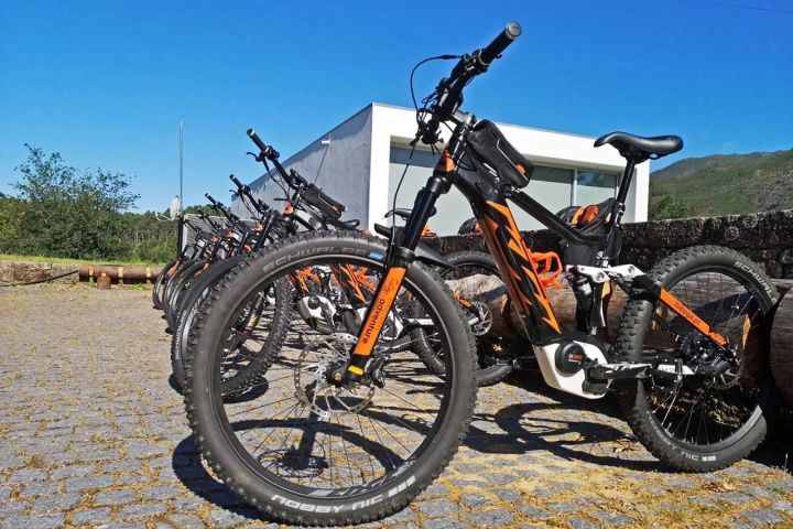 Ebike Rental image