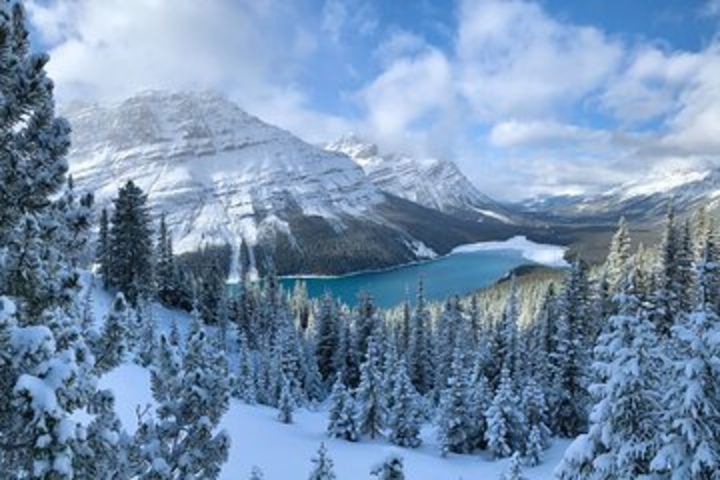 Private Tour for 1 to 10 guests of Lake Louise and the Icefield Parkway image