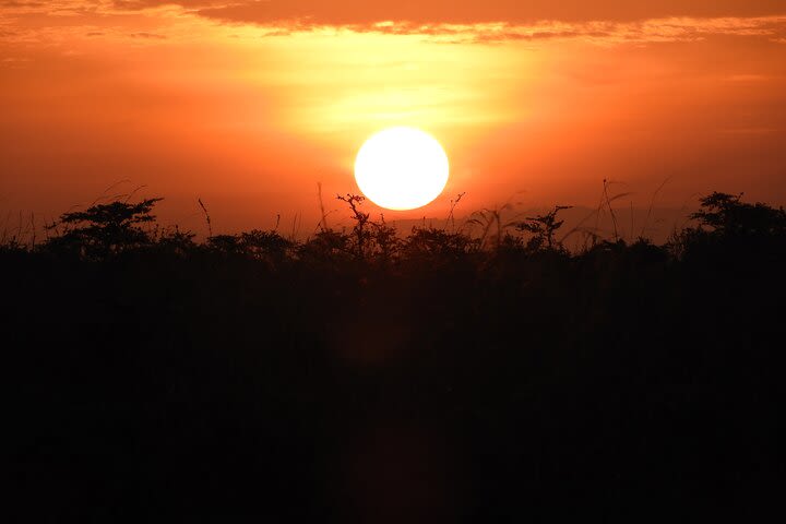  Nairobi National Park Drive & Giraffe Centre image