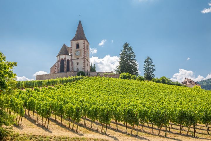 Alsace Villages & Wines Half Day from Colmar (private) image