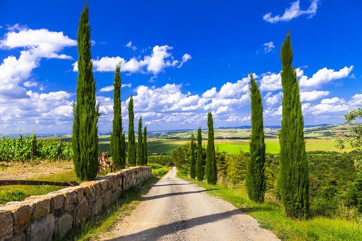 Full day private tour to Chianti wine region from Florence image