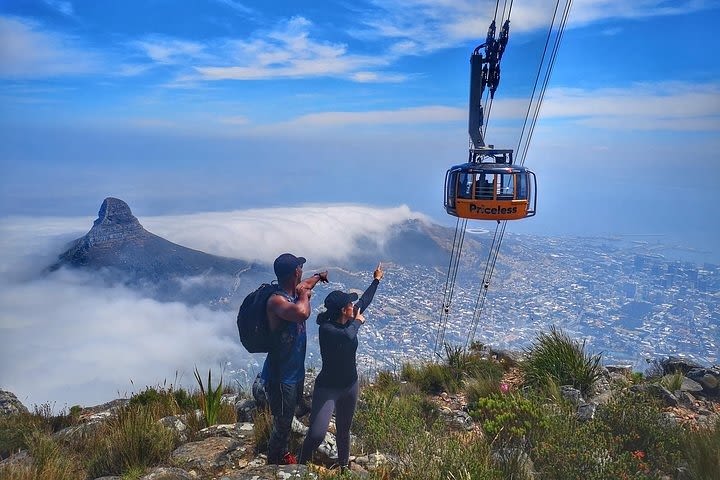 Table Mountain Private Half-Day Hike image