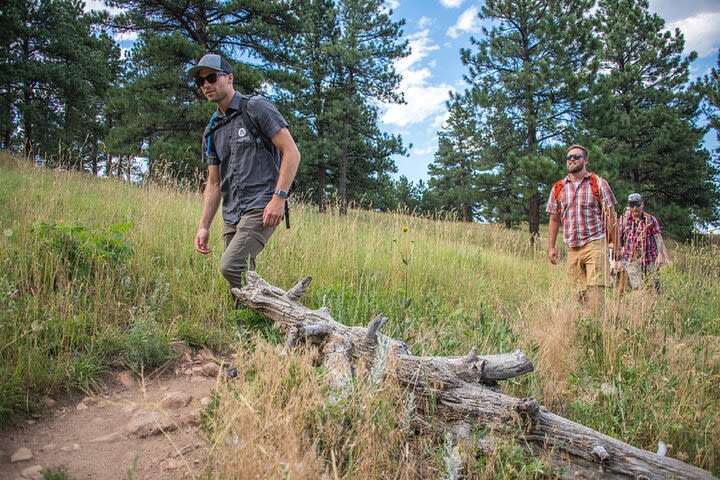 Half-Day Rocky Mountain Hike image