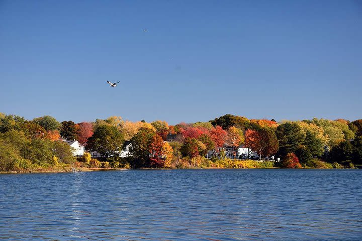 Fall Foliage Private Sightseeing Cruise image