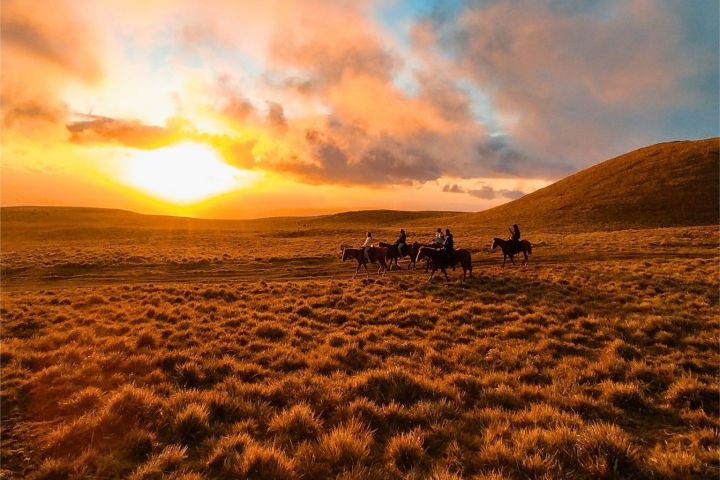 Tour de Cabalgata al Atardecer en Terevaka, Rapa Nui image