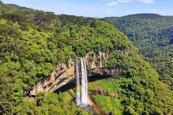 Caracol Park Admission Ticket image