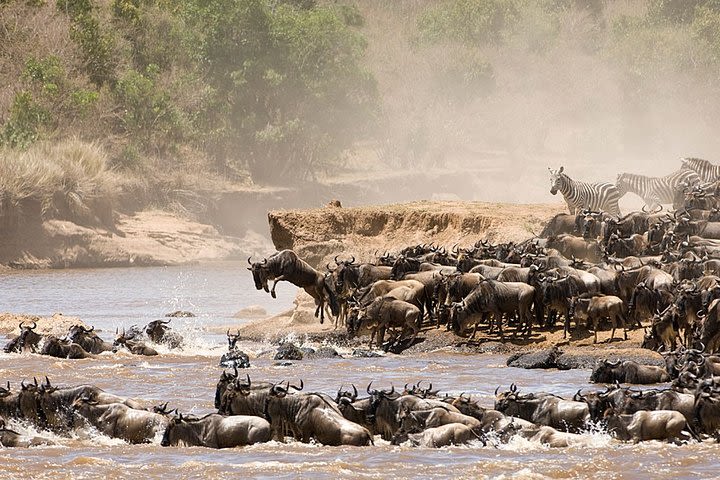 Tanzania Budget Day Trip to Tarangire National Park image