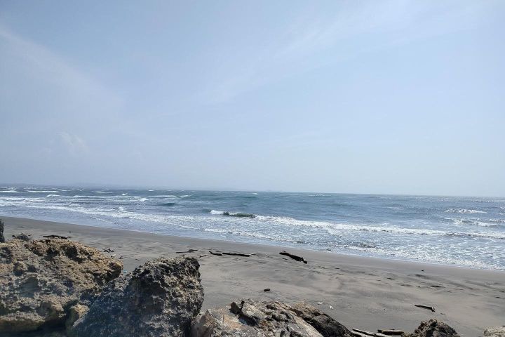 Magdalena River & Bocas de Cenizas Tour image