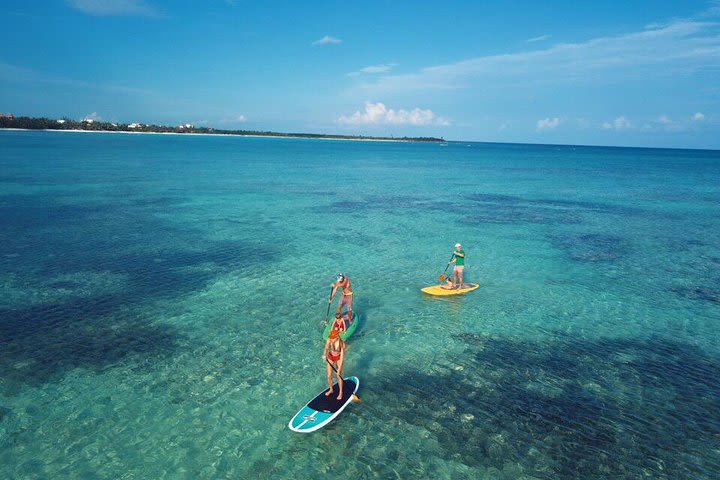 Ocean Bay Paddleboard Tour  image