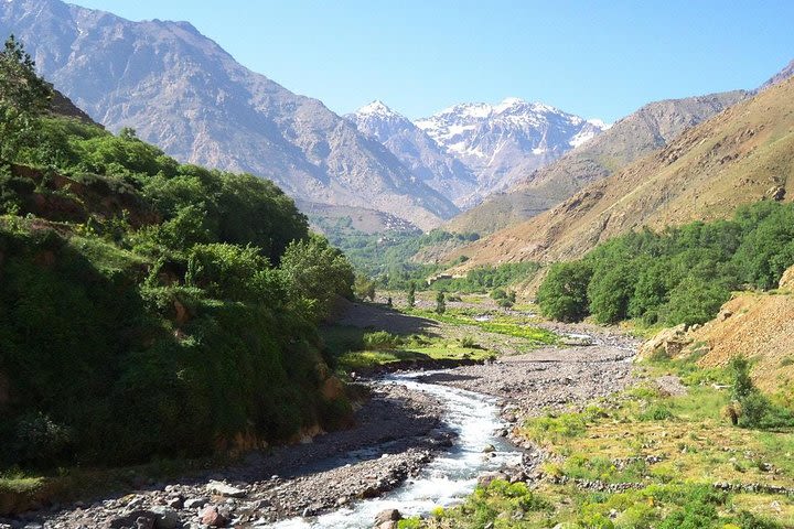 Excursion Atlas Mountains and Berber Villages Day Trip from Marrakech image