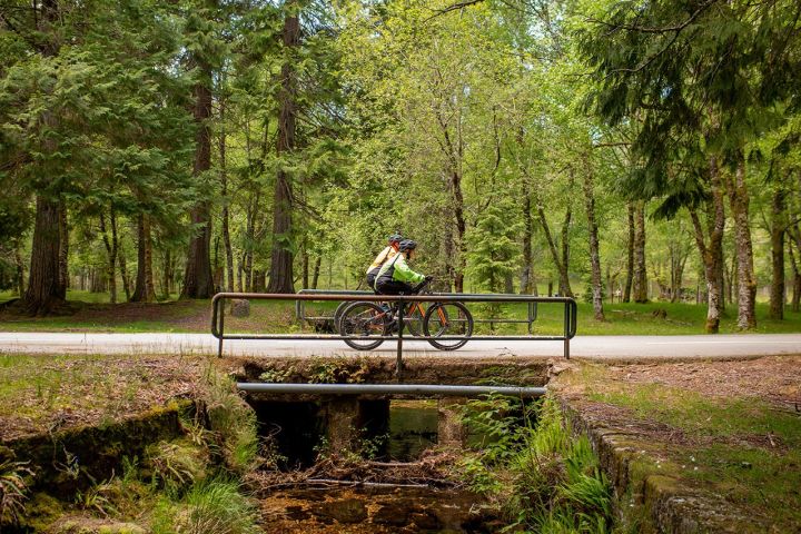 Ebike Tour in Serra Amarela image