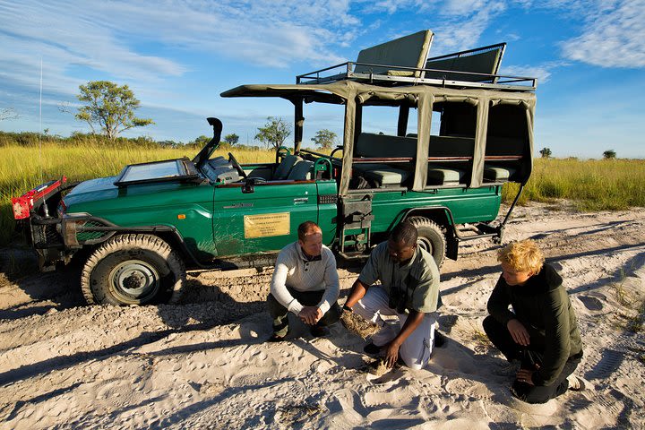 Etosha Safari Namibia Private Guided Tour - 4 days image