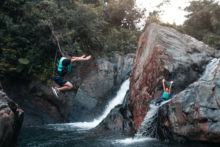 Bio Bay & El Yunque Rainforest Combo Tour image