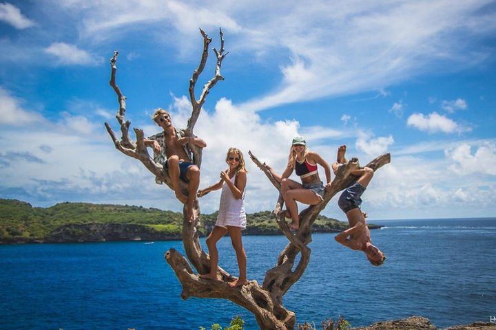 Kelingking Beach Nusa Penida Instagram Tour (Private & All-Inclusive) image