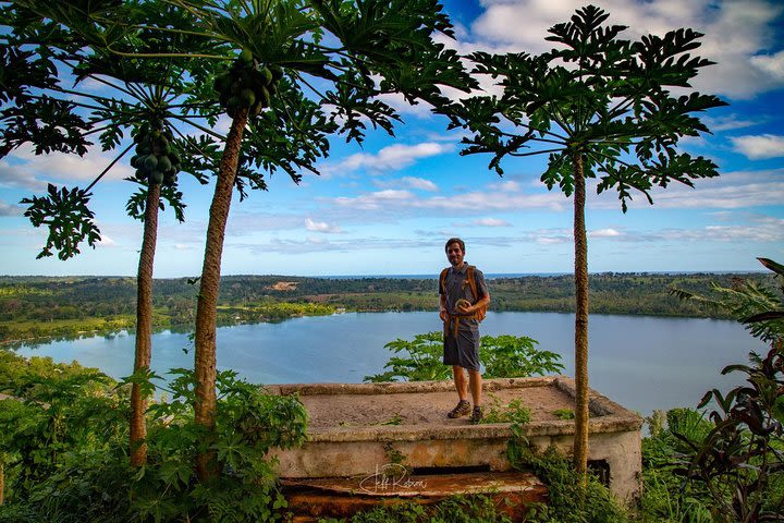 Vanuatu Guided Bush Walking Tour from Port Vila image