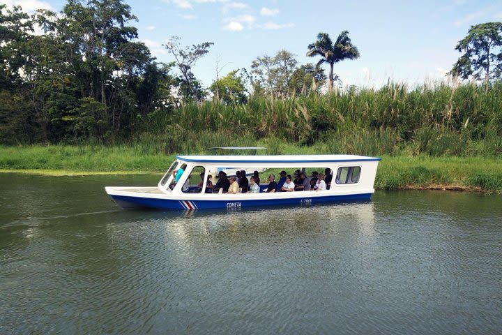 Full-Day Tour to Cahuita National Park from Puerto Limon image