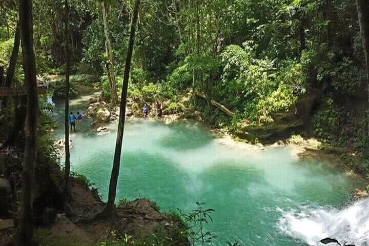 Dunn's River Falls and Blue Hole Combo Tour From Ocho Rios image