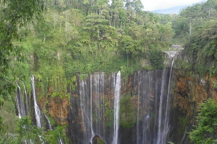 Tumpak Sewu Waterfall : 1 Day image