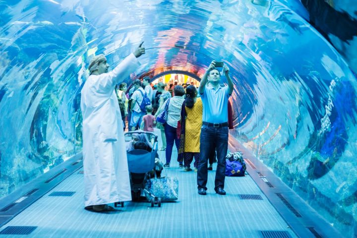 Dubai Aquarium and Underwater Zoo Ticket image