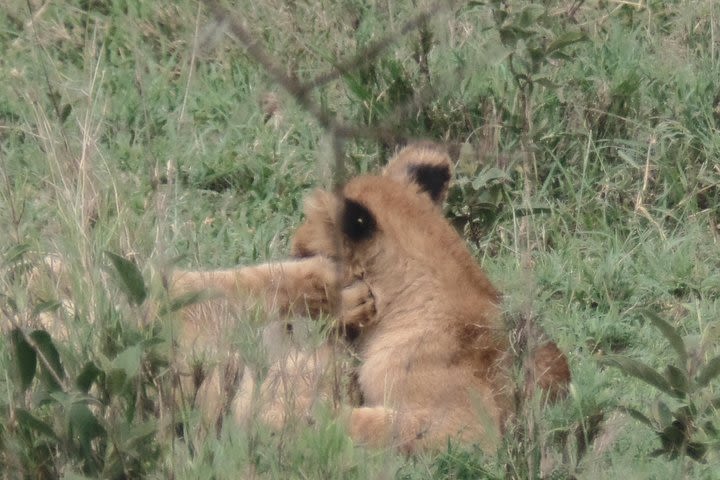 7-Day Kenya Off the Beaten Path - Mid-Range image