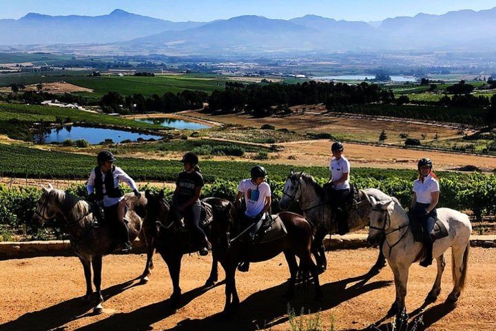 Full Day Wine Tasting Horse Trail image