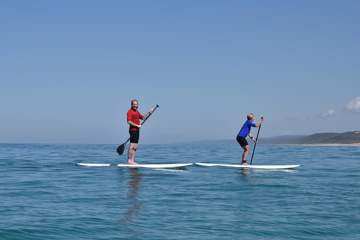 Stand Up Paddle & Beach 4X4 Tour to Double Island Point image