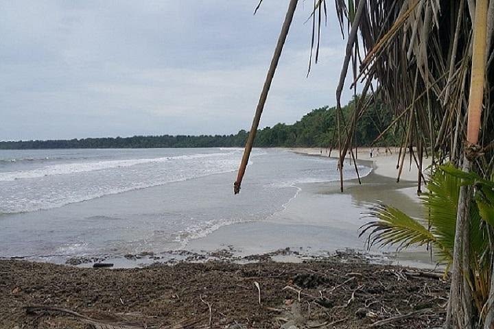 Cahuita National Park image