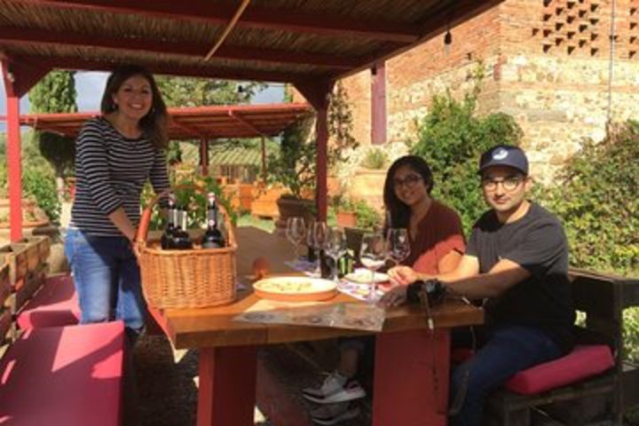 Discover Organic and Biodynamic Chianti Small Wineries image