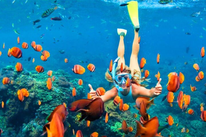 Snorkeling in Negombo image