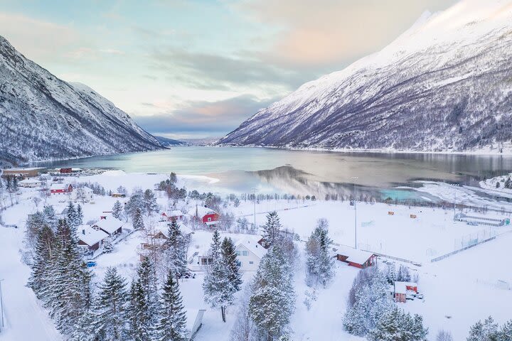  Norway Photo Tour from Abisko to Fjords, Mountains and the Sea  image