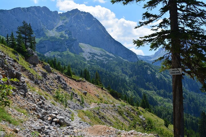 Sutjeska National Park Hike Tour from Sarajevo image