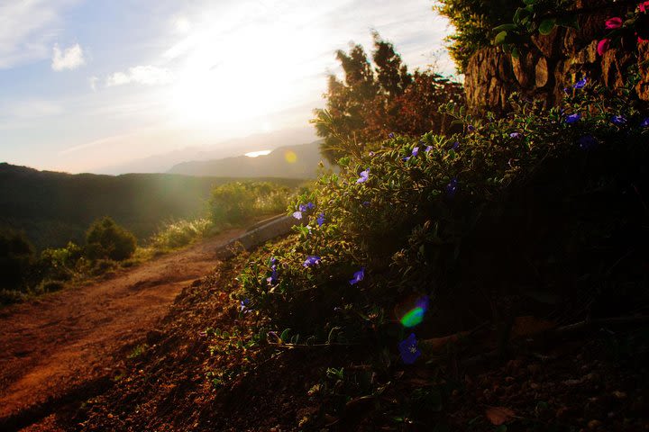 Camping in Knuckles Peak Trail (Private 1-Night) image