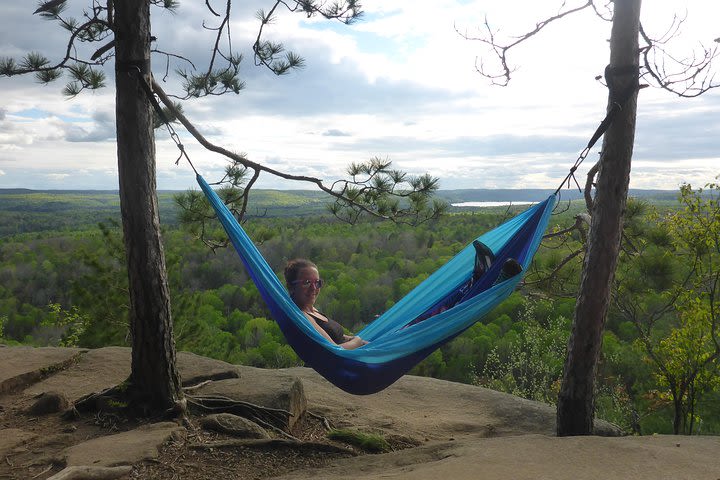 Algonquin Provincial Park Day Tour from Toronto image