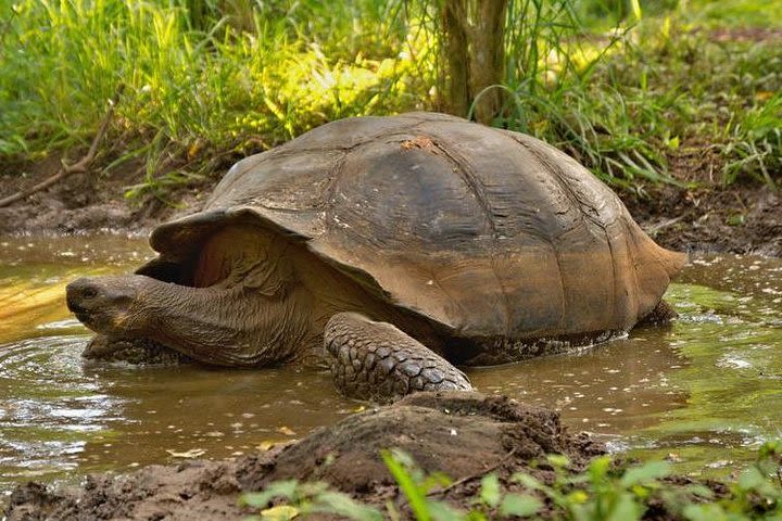 4 Days Galápagos - Total Experience Tour image