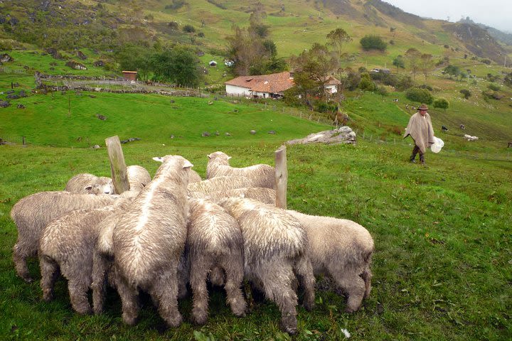 Trekking the El Cocuy Mountain Range image