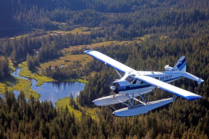 Ketchikan Flightseeing & Crab Feast image