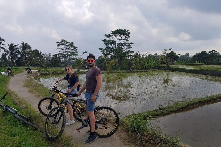 Full Day - Ubud Cycling & White Water Rafting with Complementary Lunch image