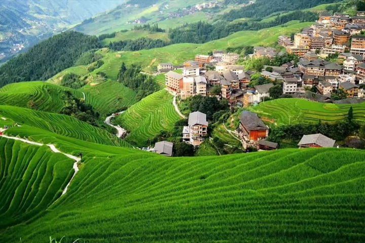 Private Day Tour: Longji Rice Terraces image